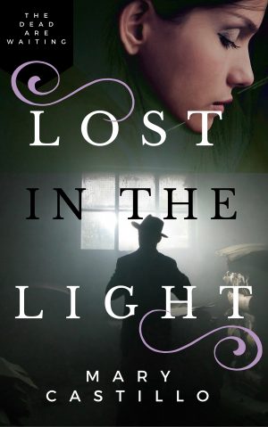 Cover for Lost in the Light