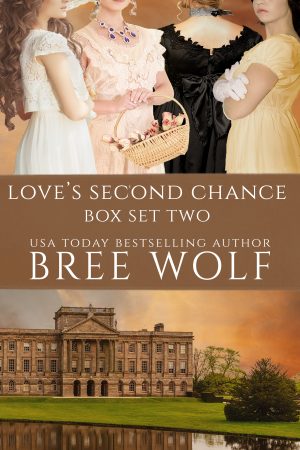 Cover for Love's Second Chance Series Box Set: Novels 5 - 8