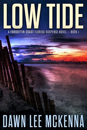 Cover for Low Tide