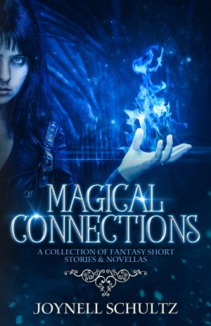 Cover for Magical Connections