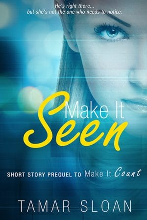 Cover for Make it Seen