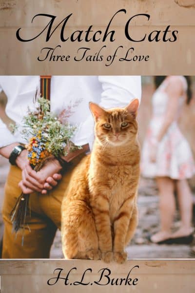 Cover for Match Cats: Three Tales of Love