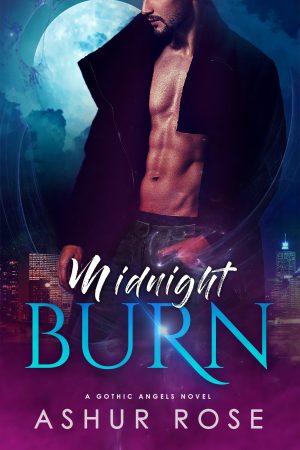 Cover for Midnight Burn