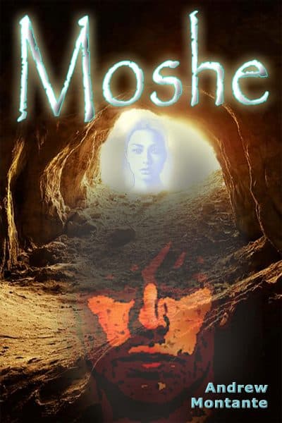 Cover for Moshe