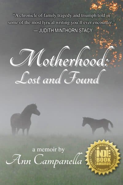 Cover for Motherhood: Lost and Found