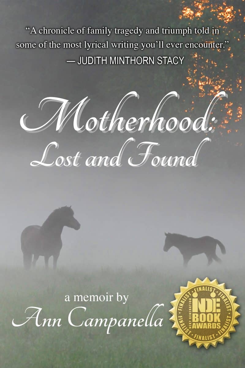 Cover for Motherhood: Lost and Found (first chapter)