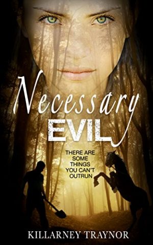 Cover for Necessary Evil