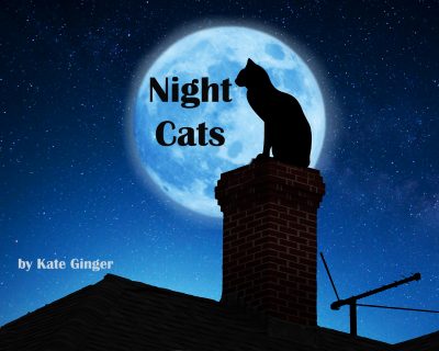 Cover for Night Cats: A Children's Picture Book
