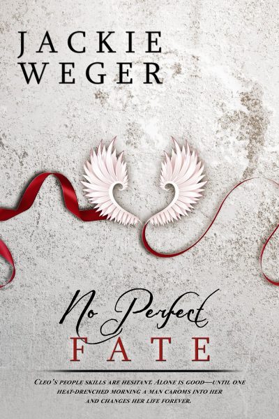 Cover for No Perfect Fate
