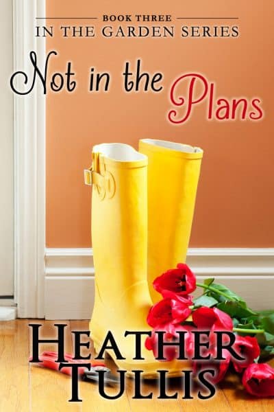 Cover for Not In The Plans