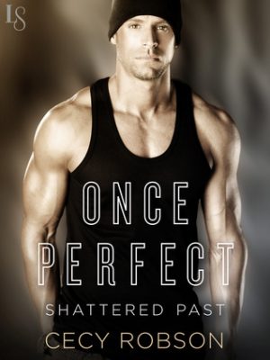 Cover for Once Perfect