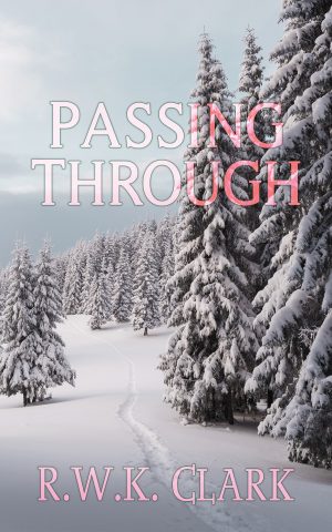 Cover for Passing Through