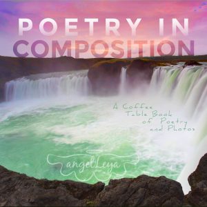 Cover for Poetry in Composition