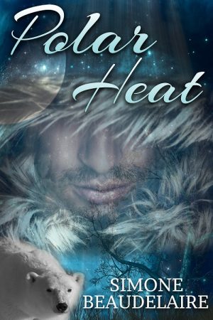 Cover for Polar Heat