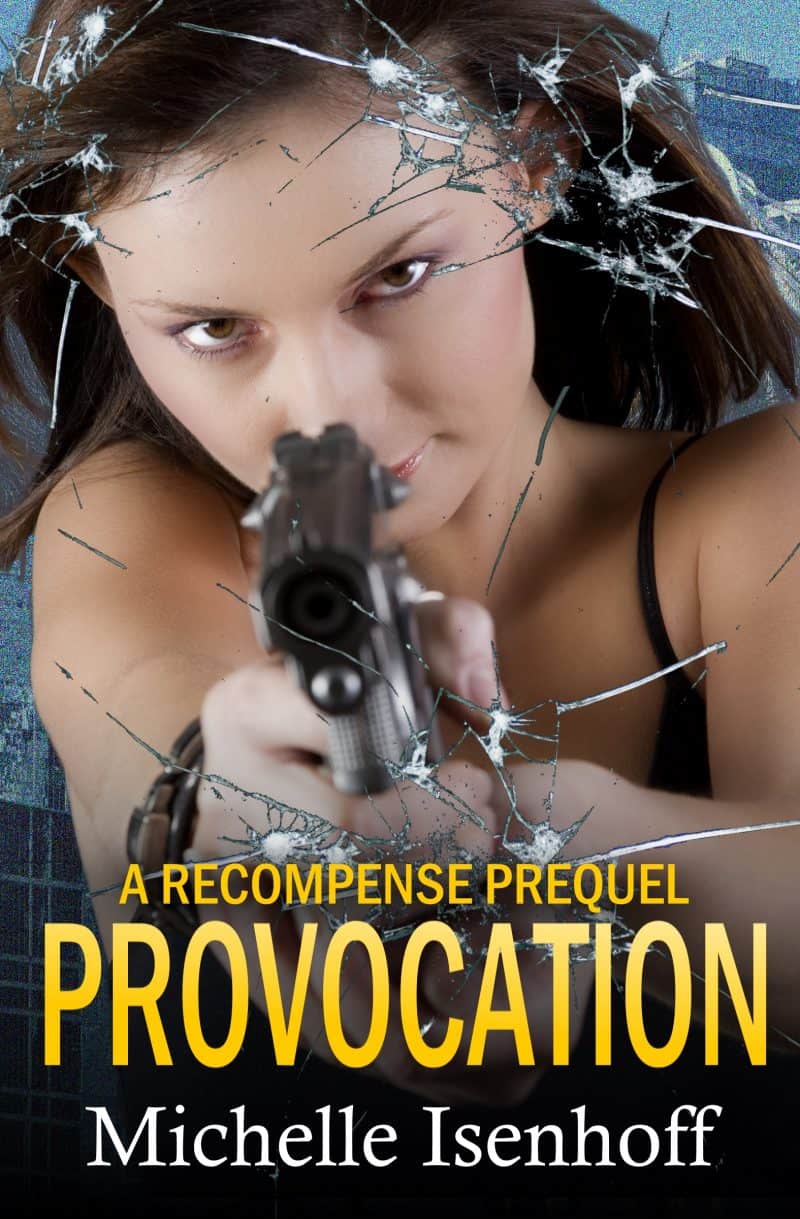 Cover for Provocation