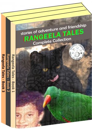 Cover for Rangeela Tales Box Set
