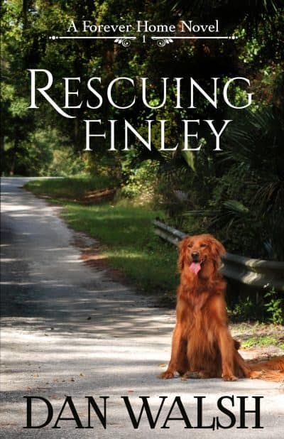 Cover for Rescuing Finley