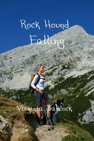 Cover for Rock Hound Falling