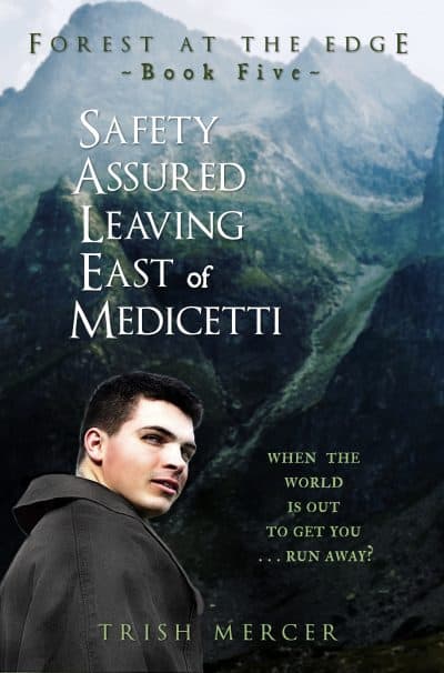Cover for Safety Assured Leaving East of Medicetti