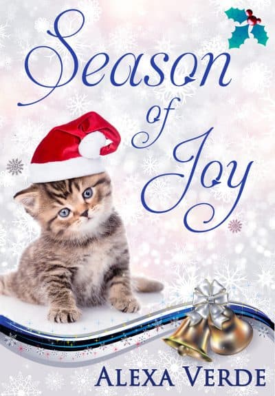Cover for Season of Joy