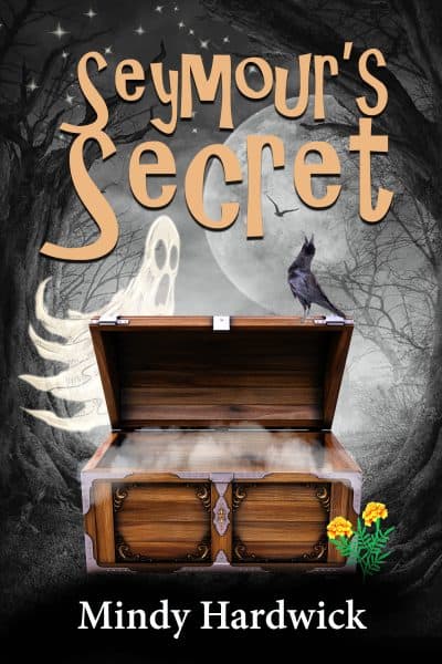 Cover for Seymour's Secret