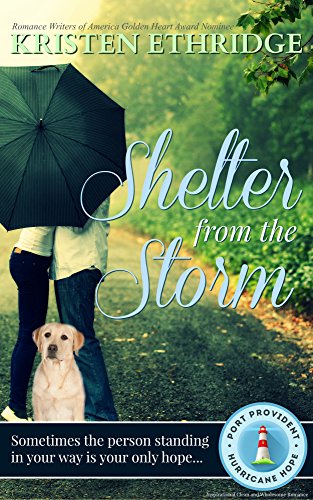 Cover for Shelter from the Storm