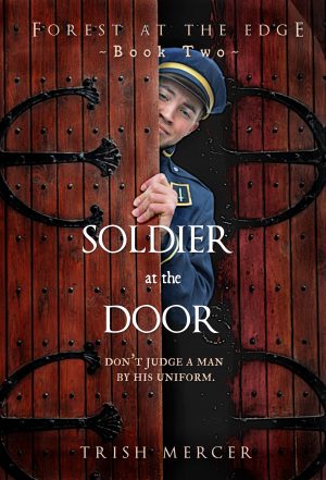 Cover for Soldier at the Door