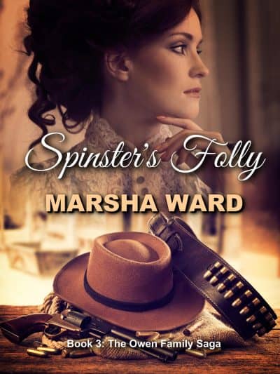 Cover for Spinster's Folly