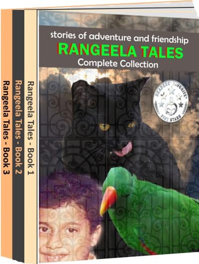 Cover for Rangeela Tales Complete Collection