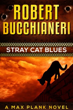 Cover for Stray Cat Blues