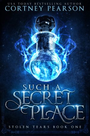 Cover for Such a Secret Place