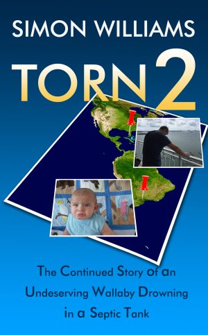 Cover for Torn 2
