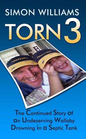 Cover for Torn 3