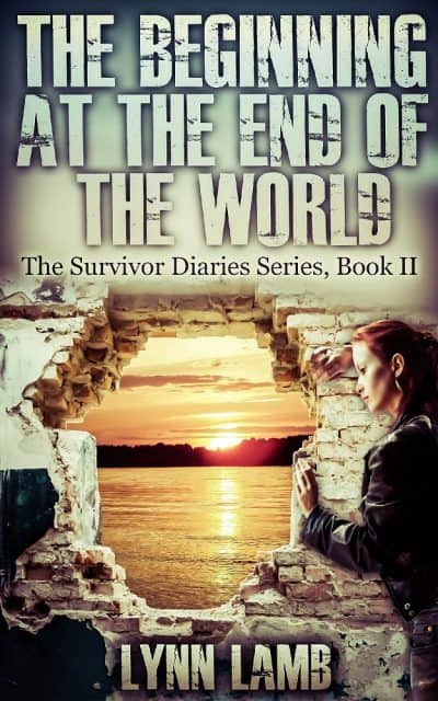 Cover for The Beginning at the End of the World
