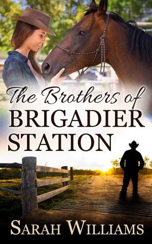 Cover for The Brothers of Brigadier Station