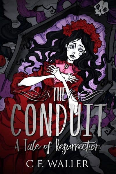 Cover for The Conduit