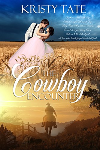 Cover for The Cowboy Encounter