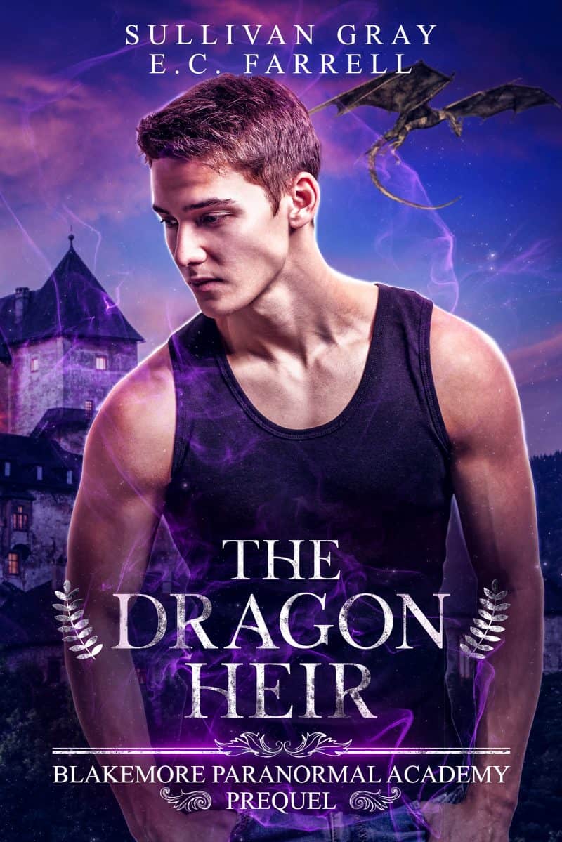 Cover for The Dragon Heir: A Prequel