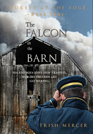 Cover for The Falcon in the Barn