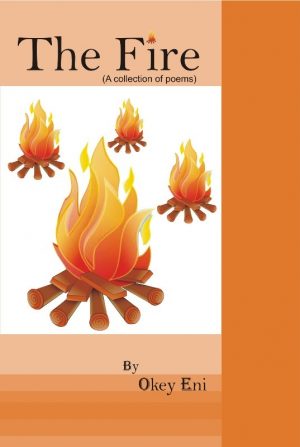 Cover for The Fire