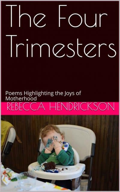 Cover for The Four Trimesters