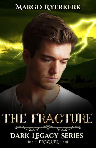 Cover for The Fracture