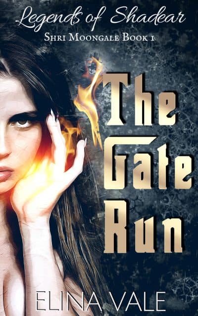Cover for The Gate Run