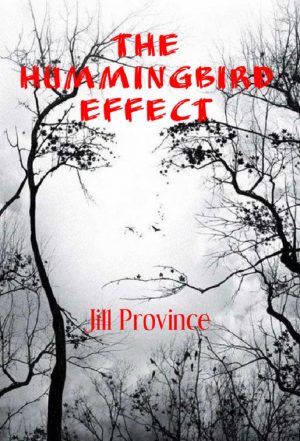 Cover for The Hummingbird Effect