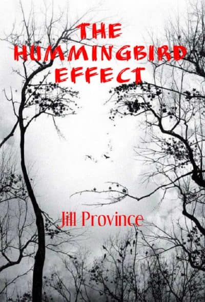 Cover for The Hummingbird Effect