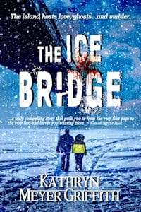 Cover for The Ice Bridge