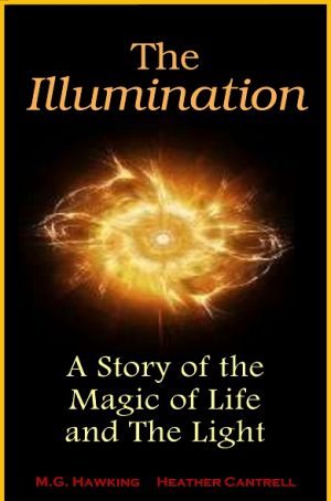 Cover for The Illumination