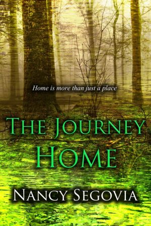 Cover for The Journey Home
