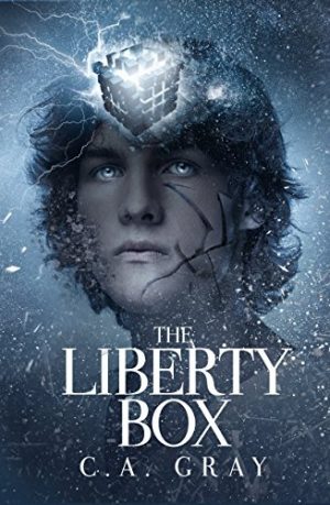 Cover for The Liberty Box