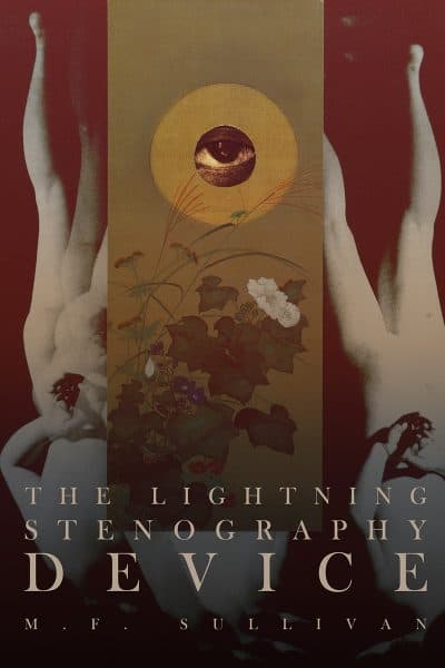 Cover for The Lightning Stenography Device